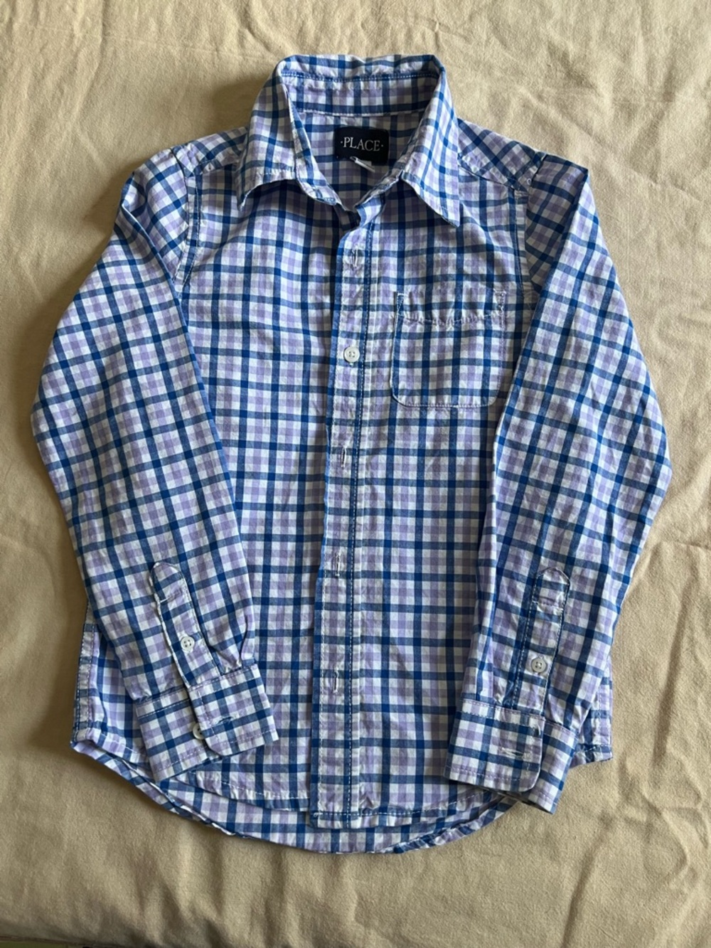 The Children's Place Blue and White Plaid Long Sleeve Button-Up Shirt